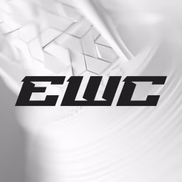 Esports World Cup