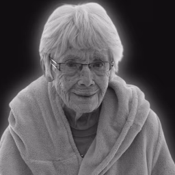 epic gamer grandma