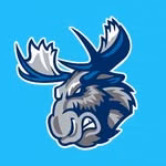 Manitoba Moose