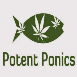 Potent Ponics
