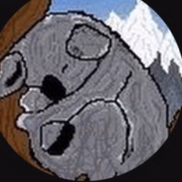 Koala of the Mountain