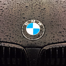 BMW Fanatic