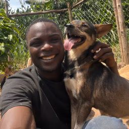 Musa stray dogs 🐕🐾