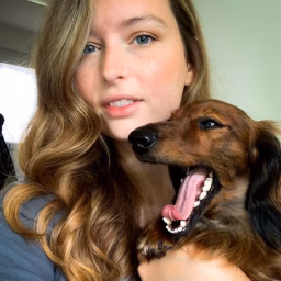 LENNY & SIX DACHSHUNDS