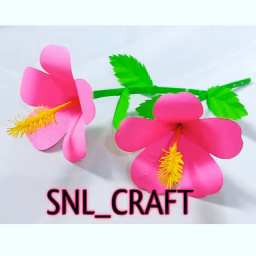 SNL CRAFTS