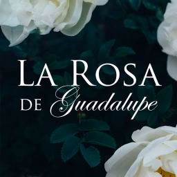 La Rosa de Guadalupe