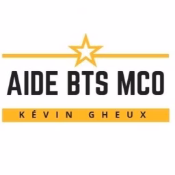 AIDE BTS MCO | Fiches de révision du BTS MCO