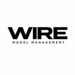 Wire Model Management