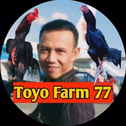 Toyo Farm77