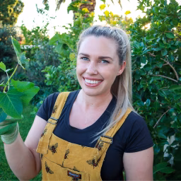 Sustainable Holly