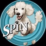 Standard Poodles In Need, Rescue & Rehome