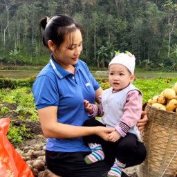 Phuc An Daily Life
