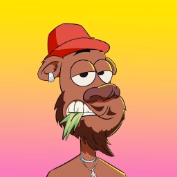 official BRODA SHAGGI
