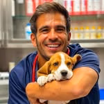 André Santos | Médico Veterinário 🫀