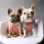 Elvis and Coco Bean