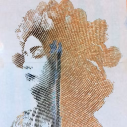 Sam Medina