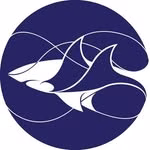Shark Conservation Fund