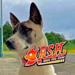 ZASH