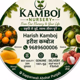Kamboj Nursery 