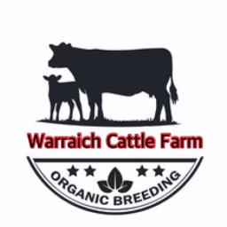 Warraich Cattle Farm