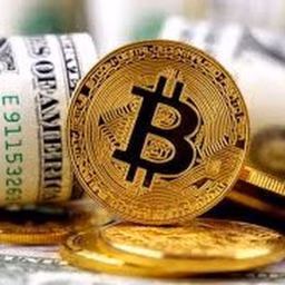 crypto signal