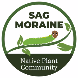 Sag Moraine Native Plant Community