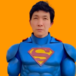 Hero Cosplay
