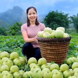Hanna Daily Life New