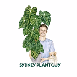 Sydney Plant Guy