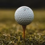 ParTee Pals ⛳ | Golf & Funny Tees