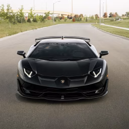 Enzo
