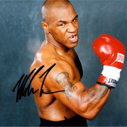 Mike Tyson UFC Fights