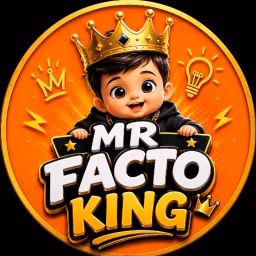 Mr Facto King 