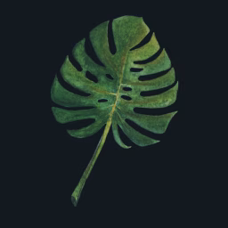 Zane's Wildflora