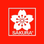 Sakura of America