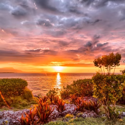 Naturaleza Viva - Ocean Sounds For Sleeping