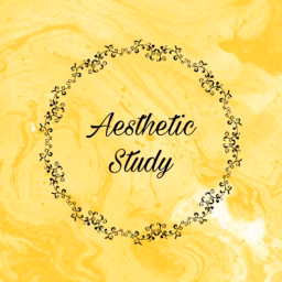 Aesthetic _Study