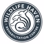 Wildlife Haven