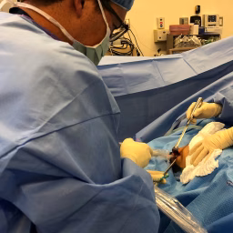 Ventura Surgery School