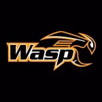 Wasp Archery