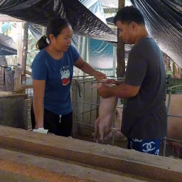 Desiree Farm