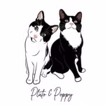 Pluto & Poppy 🐾