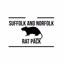 Suffolk and Norfolk rat pack 