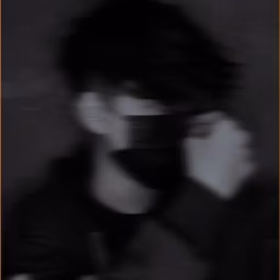 Aesthetic Risux