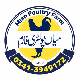 Mian Poultry Farm 