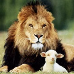 Lion 'n Lamb 777