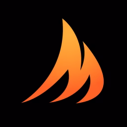 Memphis Wood Fire Grills