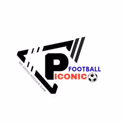 Pro Iconic Football 