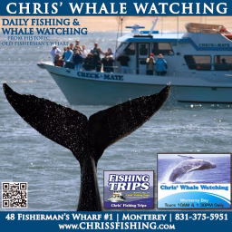 Chris' Fishing and Whale Watching