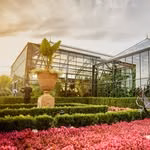 Planterra Conservatory